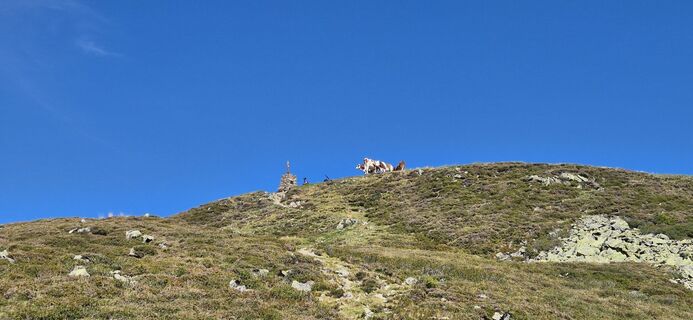 Fotografija s spletne strani Mircoeuteneuer51 na poti