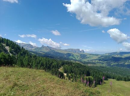 Foto von Alessandro Beaupain entlang der Tour