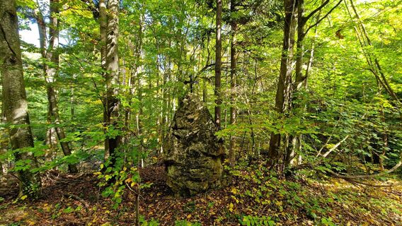 Fotografia z EP87 na trase