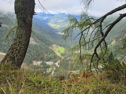 Photo de MRDL le long du parcours