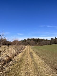 Fotografie z coochi na trase