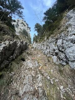 Fotografia z Aurelian Böhler na trase