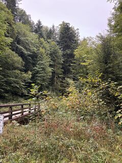 Fotografija s spletne strani Heinz Sperl na poti