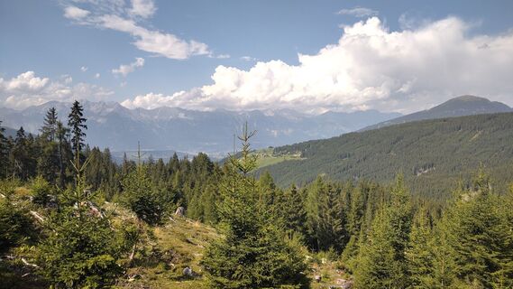 Fotografija s spletne strani Noreen Harz na poti