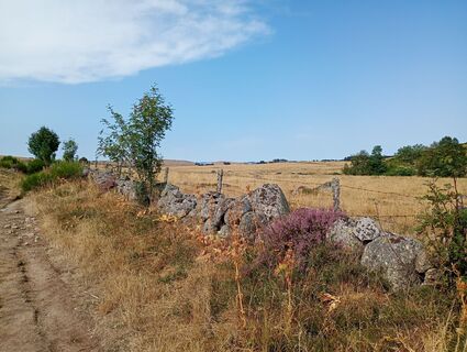 Foto de Christophe B a lo largo del recorrido