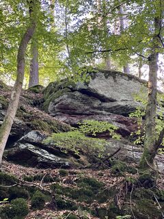 Foto von Marcus Selig entlang der Tour