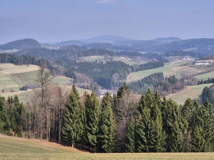Foto de josef duermoser a lo largo del recorrido