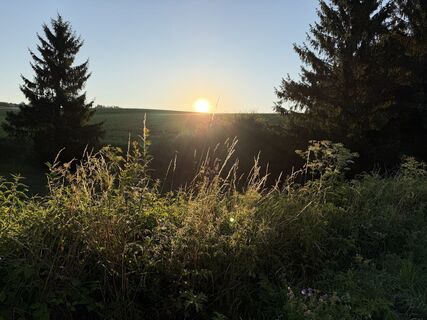 Donauwörth Gehen am morgen bei Sonnenschein
