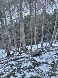 Photo de Anita Stadtherr le long du parcours