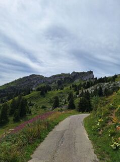 Fotografia z johan Van de Velde na trase