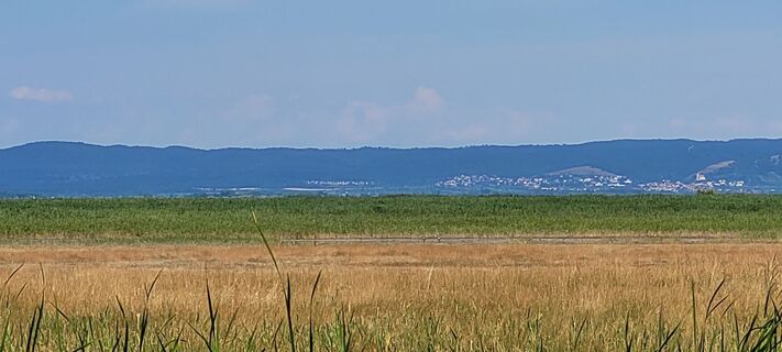 Foto de Nicky a lo largo del recorrido