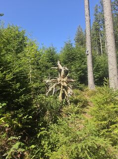 Foto von Ingo Jannasch entlang der Tour