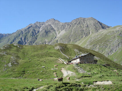 Amberger Hütte2 - Sommer