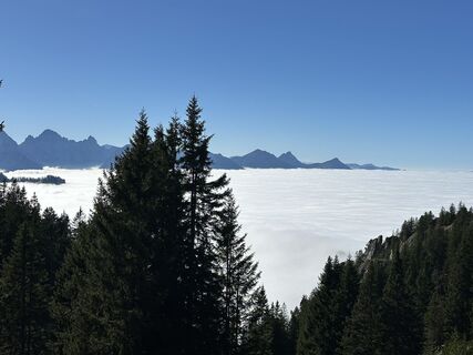 Photo from Stefan Wallner 5 along the tour