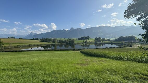 Foto från peter_oe under resans gång