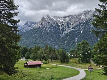Foto von Apfelblüte entlang der Tour