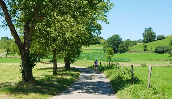 Rundkurs Col de Lingous, Tal von Castelloubon