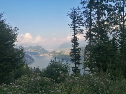 Fotografija s spletne strani luyyy na poti