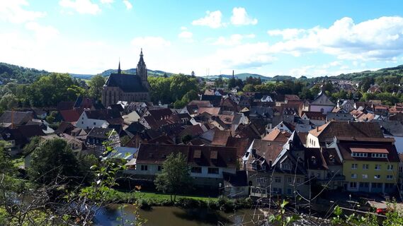 Ausblick auf Meisenheim