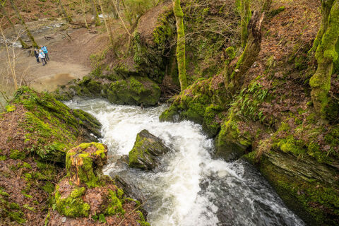 Eifel Tourismus-2021-465-Wasserfall die Rausch bei Maria Martental-©Eifel Tourismus GmbH, Dominik Ketz