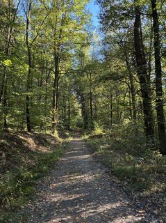Hartenstein, Sachsen/Deutschland