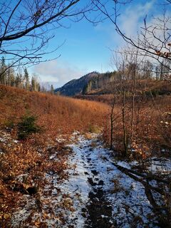 Foto von 3d63 ru^^n3r entlang der Tour