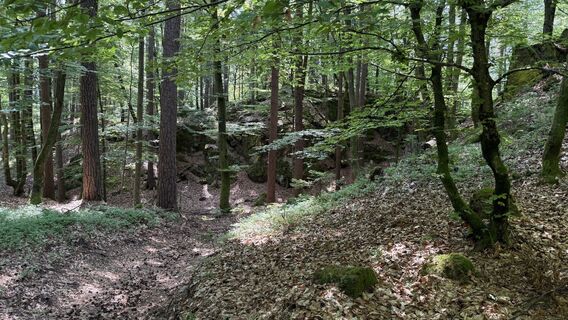 Foto von Wolfgang Hörth entlang der Tour