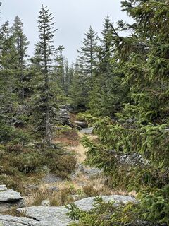 Photo de Georg B. Meier le long du parcours