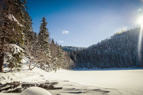 Winterlandschaft am Feldsee