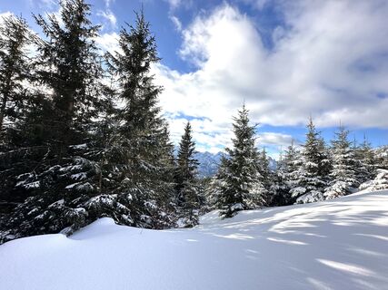 Photo from Natur_erleben_dg along the tour