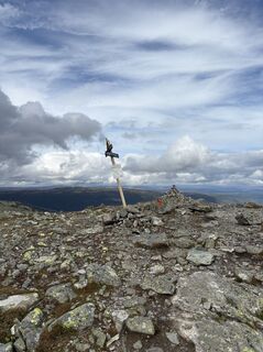 Foto von Jako Koel entlang der Tour