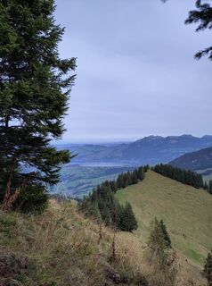 Foto von King Kong entlang der Tour