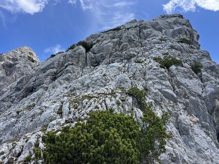Foto von Heikoala entlang der Tour