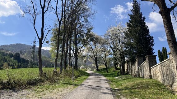 Zdjęcie z Christian Kakuska wzdłuż trasy