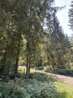 Foto von Heinz Sperl entlang der Tour