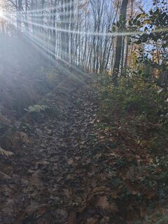 Fotografie z Björn Heun na trase