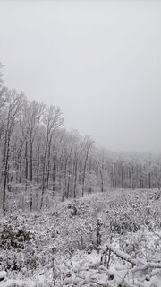 Foto de Katalin Molnár a lo largo del recorrido