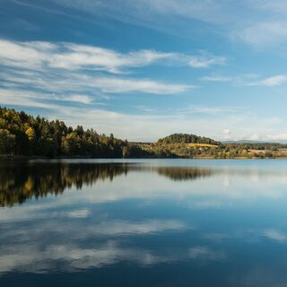Längsee
