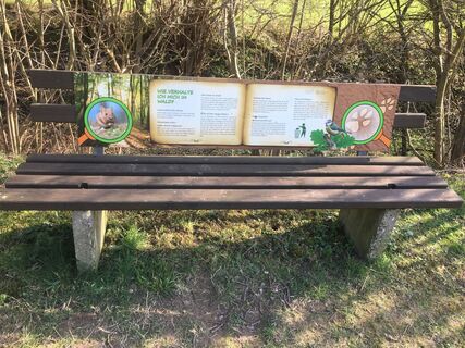  Wie verhalte ich mich im Wald?
