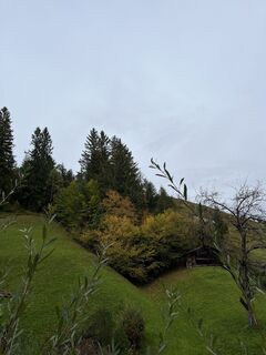 Foto von Iris Humenberger entlang der Tour