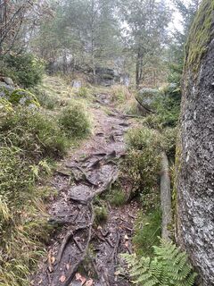 Photo de AlexanderK le long du parcours
