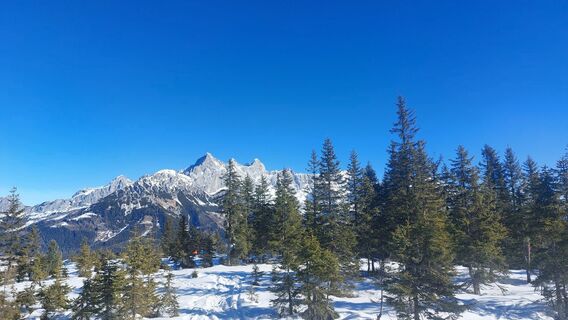 Fotografija s spletne strani Karin Svozil na poti