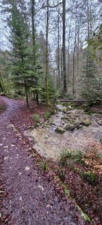 Photo de Zèé le long du parcours