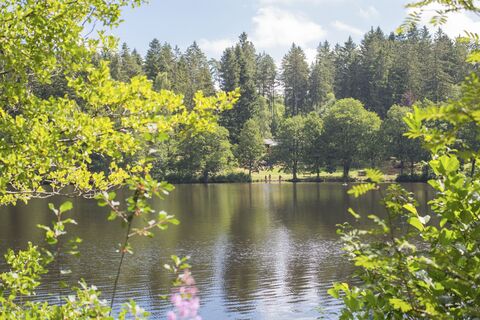 Schlüchtsee