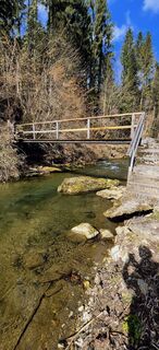 Foto de Sandy a lo largo del recorrido