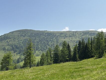 Foto von W Thiem entlang der Tour