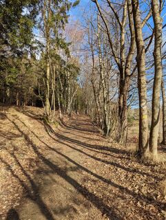 Fotografia z Michael Hell 1 na trase