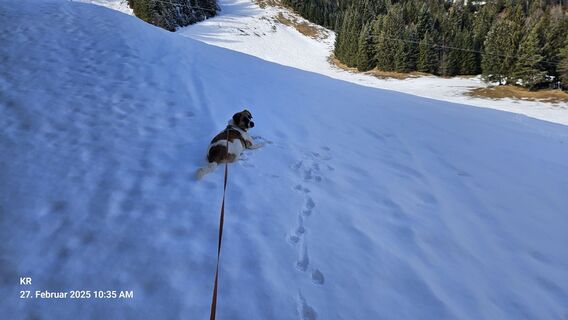 Foto von Klaus Reinhold entlang der Tour