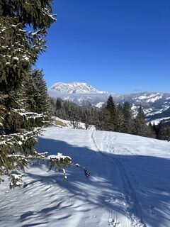 Zdjęcie z Constanze 1 wzdłuż trasy