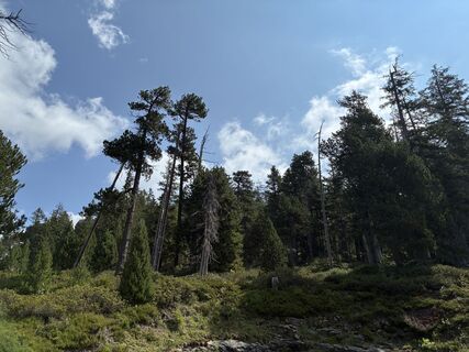 Foto von Kristina 1 entlang der Tour